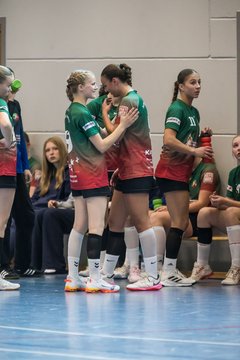 Bild 287 - wBJ HSG Kremperheide/Muensterdorf - HSG Joerl-Doppeleiche Vioel : Ergebnis: 34:23